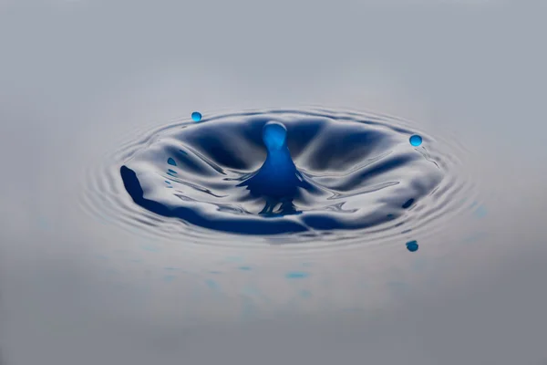 Drops — Stock Photo, Image