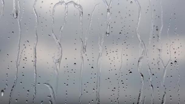 Дощ — стокове відео