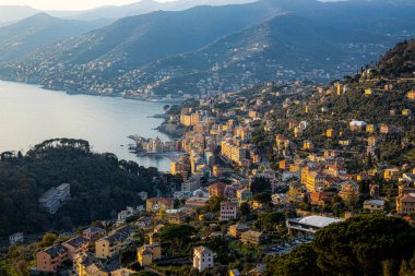 Aerial view of Camogli, Genoa province, at sunset, Italy