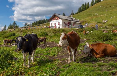 View of Marmolada mountain on the background, the queen of Dolomites alps, Italy