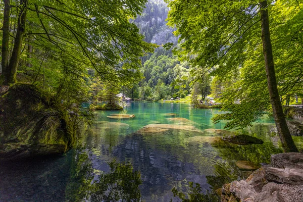 View Blausee Blue Lake Bernese Oberland Famous Tourist Destination Switzerland — Stock Photo, Image