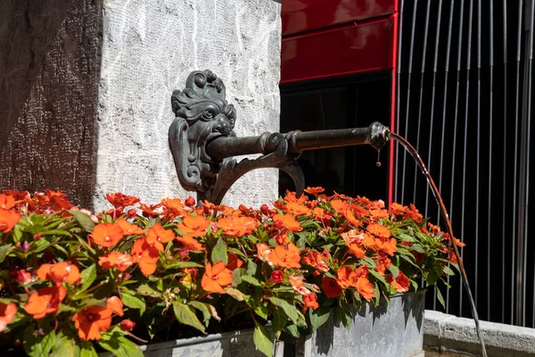 The fountain with the head of the lion and red flowers in the city centre of Bern, Switzerrland