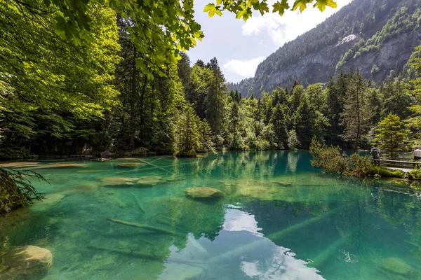 Vista Blausee Lago Azul Bernese Oberland Famoso Destino Turístico Suíça — Fotografia de Stock
