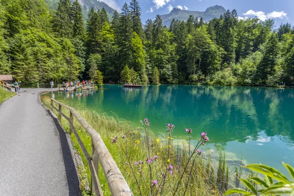 View Blausee Blue Lake Bernese Oberland Famous Tourist Destination Switzerland — Stock Photo, Image