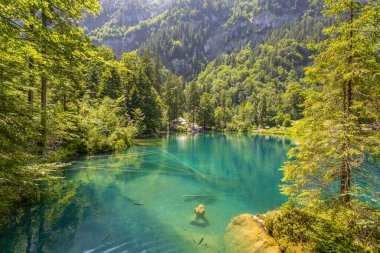 İsviçre 'nin Bernese Oberland kentindeki Mavi Göl' deki (Blausee) taş heykel.