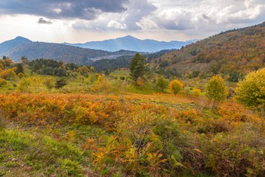 İtalya 'nın Cenova eyaletinin Liguria şehrinde sonbahar manzarası