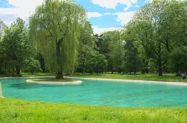 Şehir Parkı