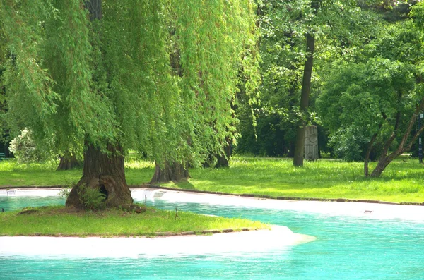Şehir Parkı