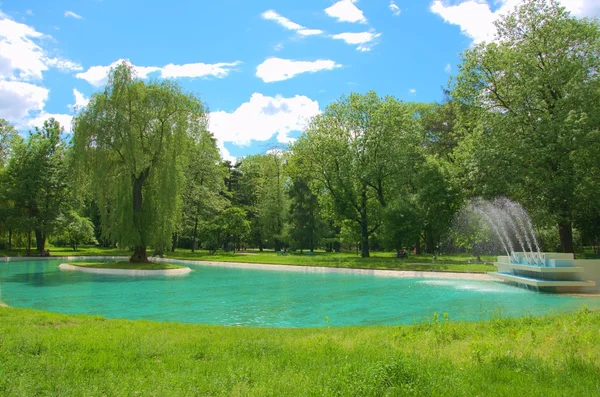 Şehir Parkı
