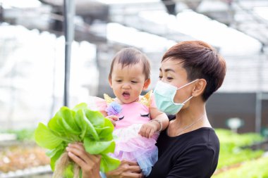 Anne ve kızı sebzeleri bahçede güvende tutarlar..