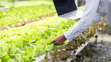 Organik çiftçi çok iyi durumda..