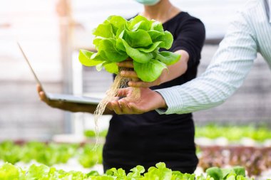 Eller zehirli olmayan sebzelere dokunuyor