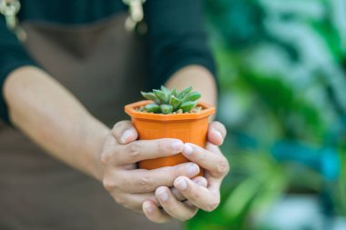 Happily Asian young gardener couple wearing apron use garden equipment and laptop computer to take care the house plants in greenhouse shop together, small business with green plant