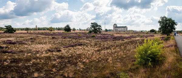 Přírodní Rezervace Kootwijker Sand Krásnými Vřesovišti Starou Rozhlasovou Stanicí Radio — Stock fotografie