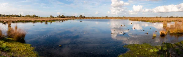 Bela Paisagem Turfa Com Nome Amsterdamsche Veld Dividido Nas Áreas Imagens De Bancos De Imagens