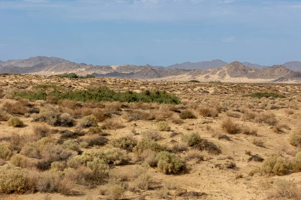 Sivatag Dél Kaliforniában Közel Város Tenyér Közel Joshua Tree Nemzeti — Stock Fotó