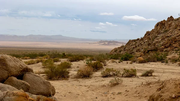 Güney Kaliforniya Daki Çöl Kuru Sarı Kahverengi Kum Mojave Ulusal — Stok fotoğraf