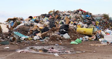 kuşlar ve köpekler üzerinde depolama