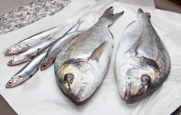 Anchovies and sea bream for sale — Stock Photo, Image