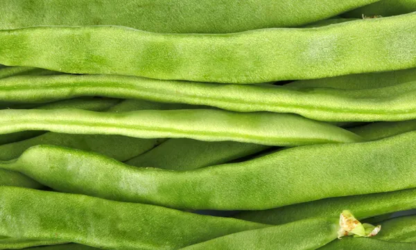 Beans - Taccole — Stock Photo, Image
