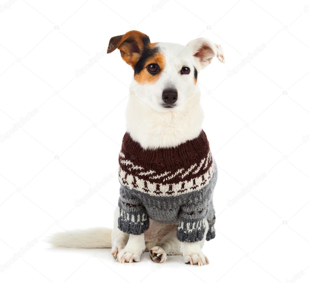 russell sweaters