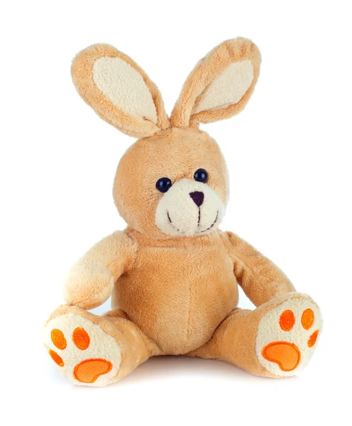 Peluche rabbit — Stock Photo, Image