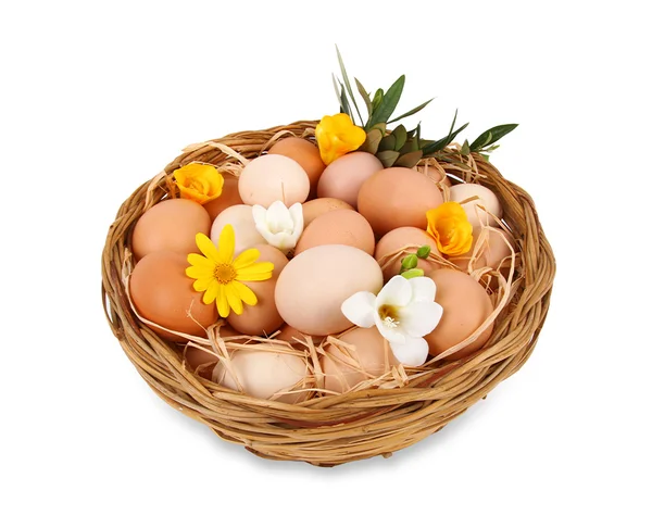 Košík vajec — Stock fotografie