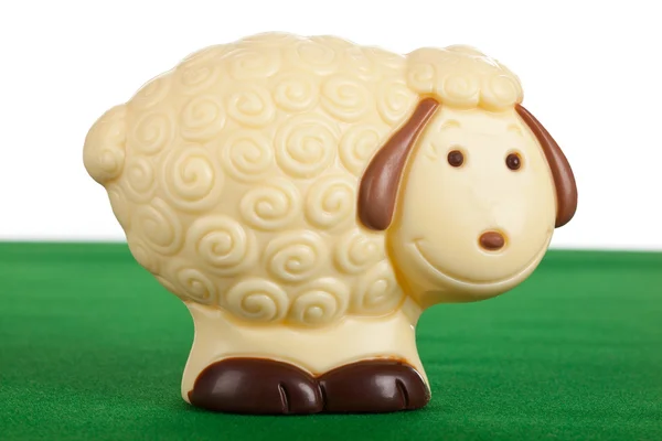 Schapen chocolade — Stockfoto