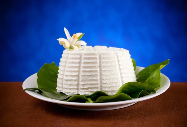 Ricotta — Stock fotografie