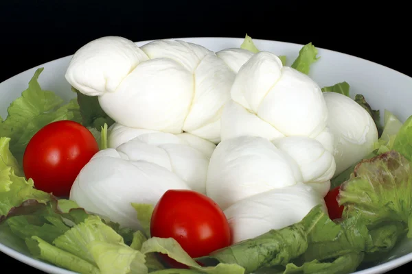 Braid of Italian mozzarella — Stok Foto