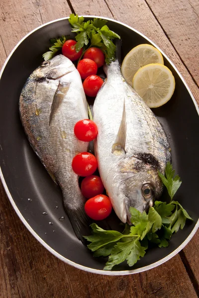 Two sea bream — Stock Photo, Image