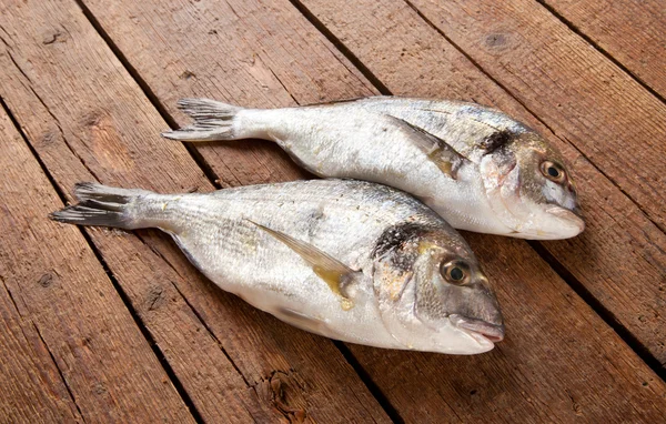 Sea bream — Stock Photo, Image