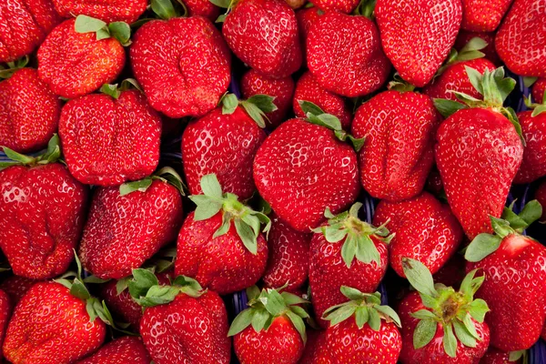 Strawberries in box — Stock Photo, Image