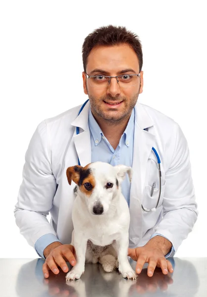 Veterinarian dan Dog — Stok Foto