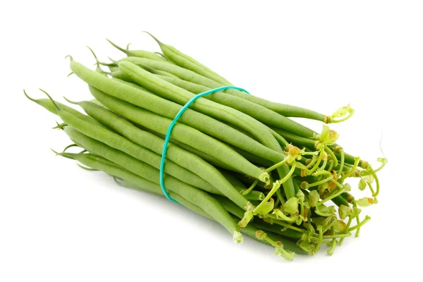 French Beans — Stock Photo, Image