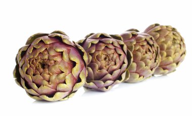 Archichockes