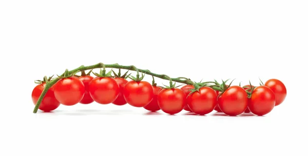 토마토 어우러진 — 스톡 사진