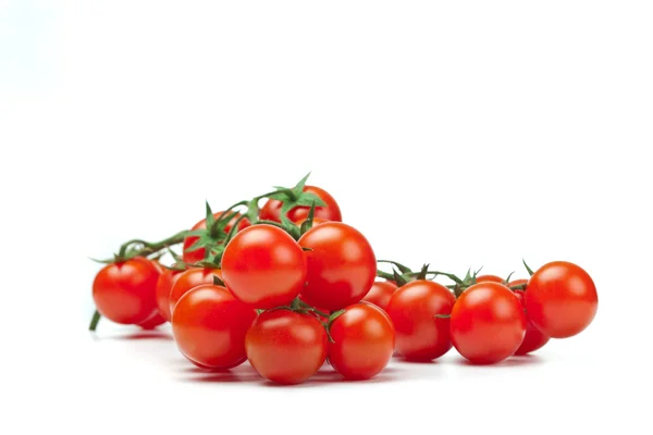Pachino de tomates — Fotografia de Stock