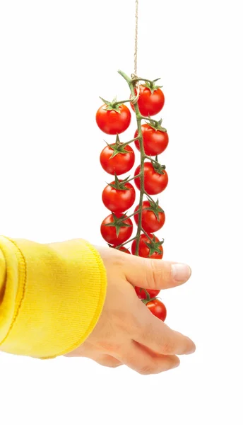 Tomaten-Pachino — Stockfoto