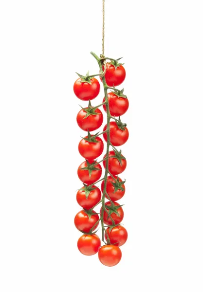 Tomates pachino — Foto de Stock