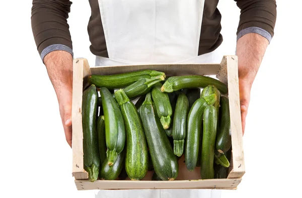 Freshly picked zucchini — Stock Photo, Image