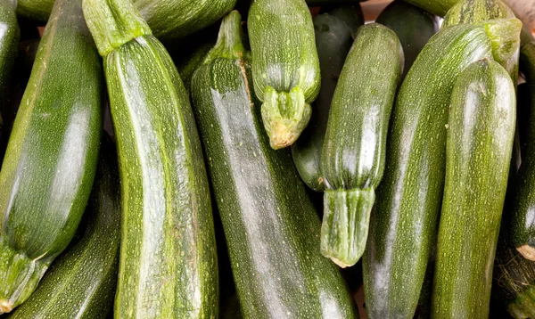 Calabacín recién recogido — Foto de Stock