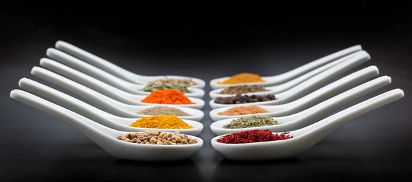 Twelve spices — Stock Photo, Image