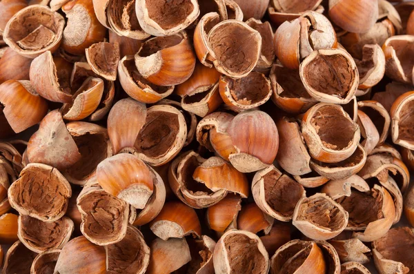 Skořápky ořechů — Stock fotografie