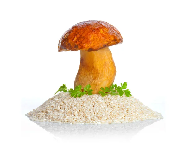 Big mushroom with raw rice — Stock Photo, Image