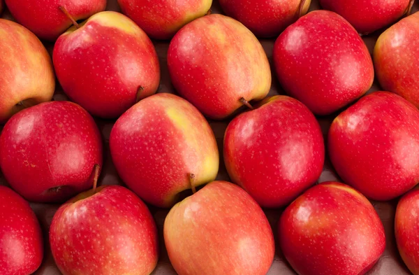 Red apples for sale — Stock Photo, Image