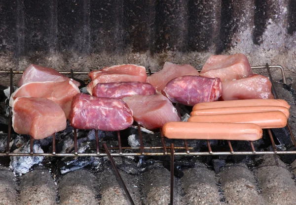 Churrasqueira com frango e carne — Fotografia de Stock