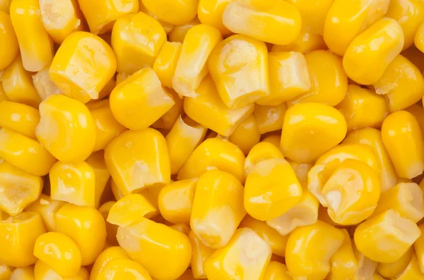 Maiskonserven — Stockfoto