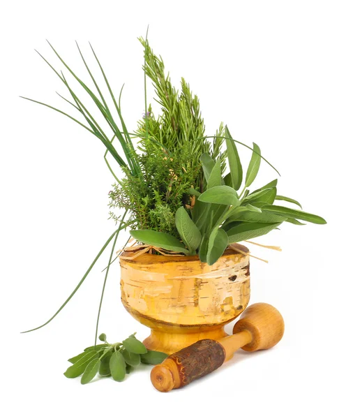 Healing herbs with mortar and pestle — Stock Photo, Image