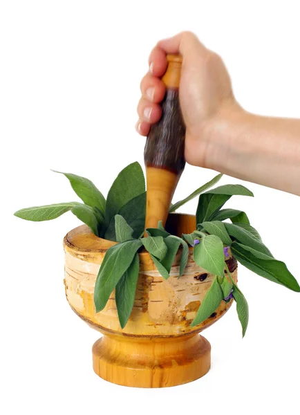 Healing herbs with mortar and pestle — Stock Photo, Image